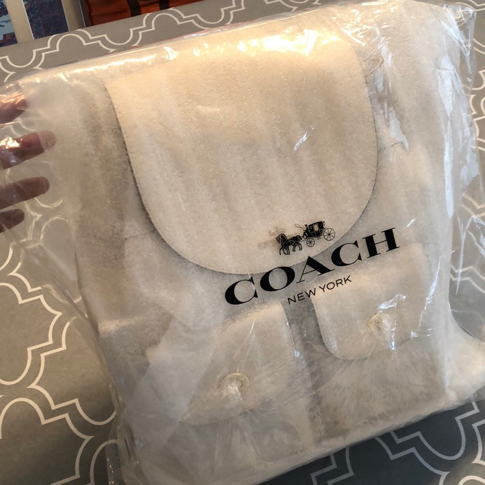 Leather Coach Backpack